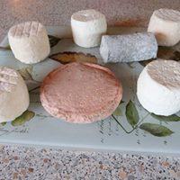 Plateau de fromages de chevre et de brebis de la ferme des vignes 