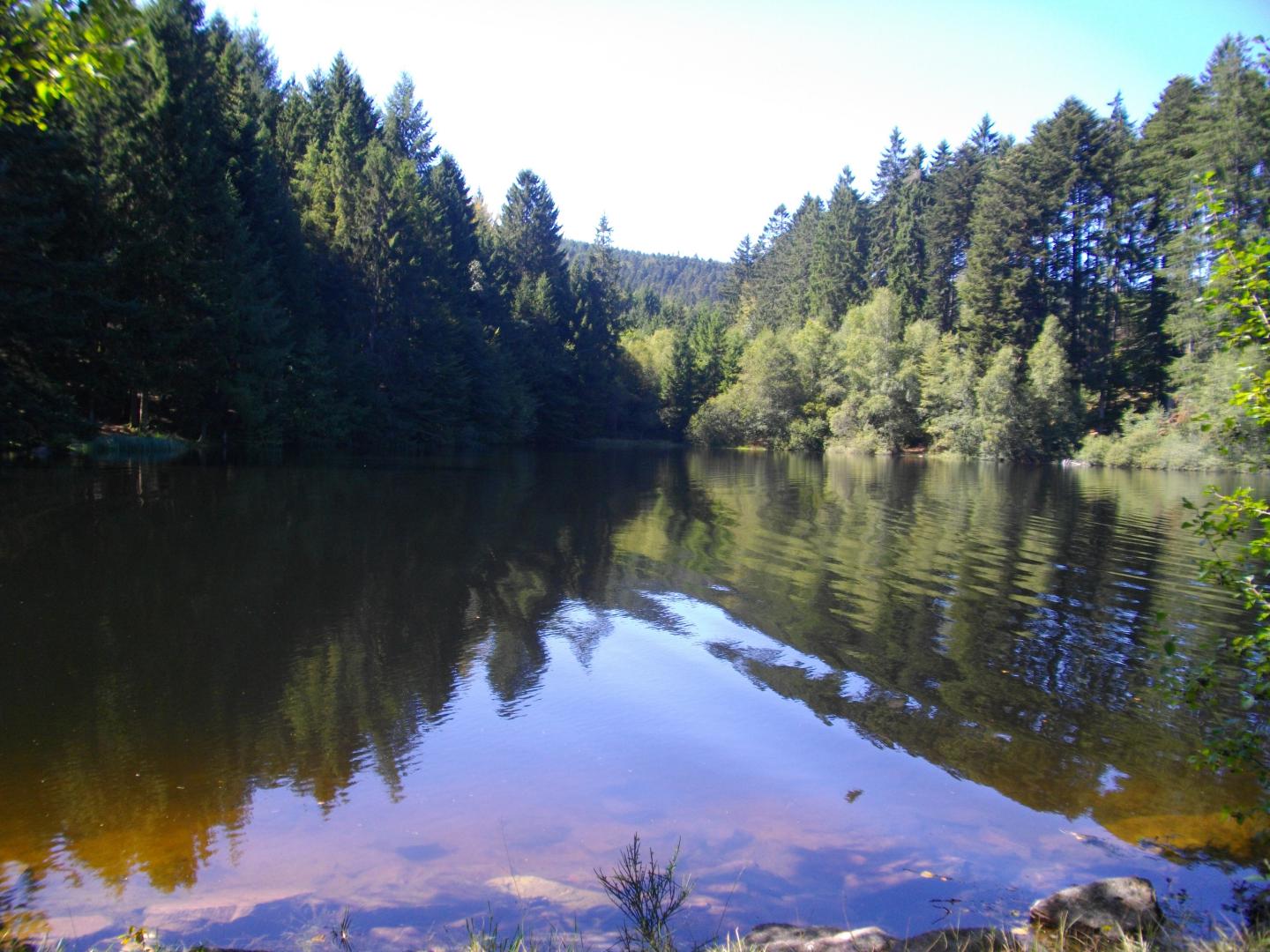 Etang de la Goulette